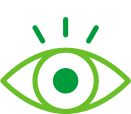 vision